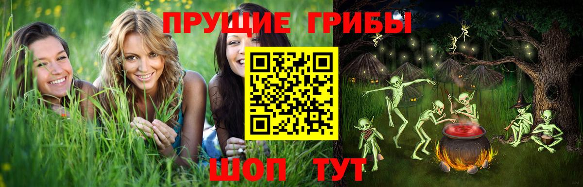 Галлюциногенные грибы прущие грибы  где купить наркотик  Саяногорск  Вход с VPN  Галлюциногенные грибы MAGIC MUSHROOMS 